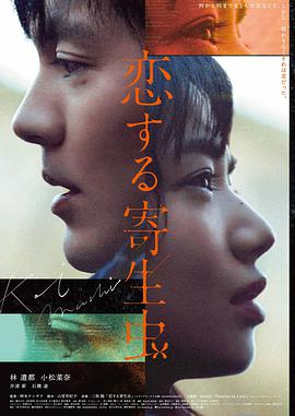 山海情 国产二区精品